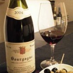 Domaine Digioia-Royer Bourgogne 2004（ドメーヌ ディジオイア ロワイエ）