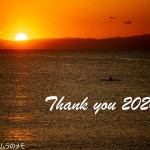 Thank you 2020!