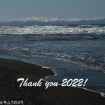 Thank you 2022!