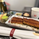 日本航空国際線　エコノミークラス機内食アップグレードサービス (2024/03)