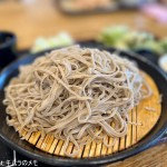 小木曽製粉所 飯田天竜峡店 (2025/05)