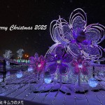 Merry Christmas 2025!!